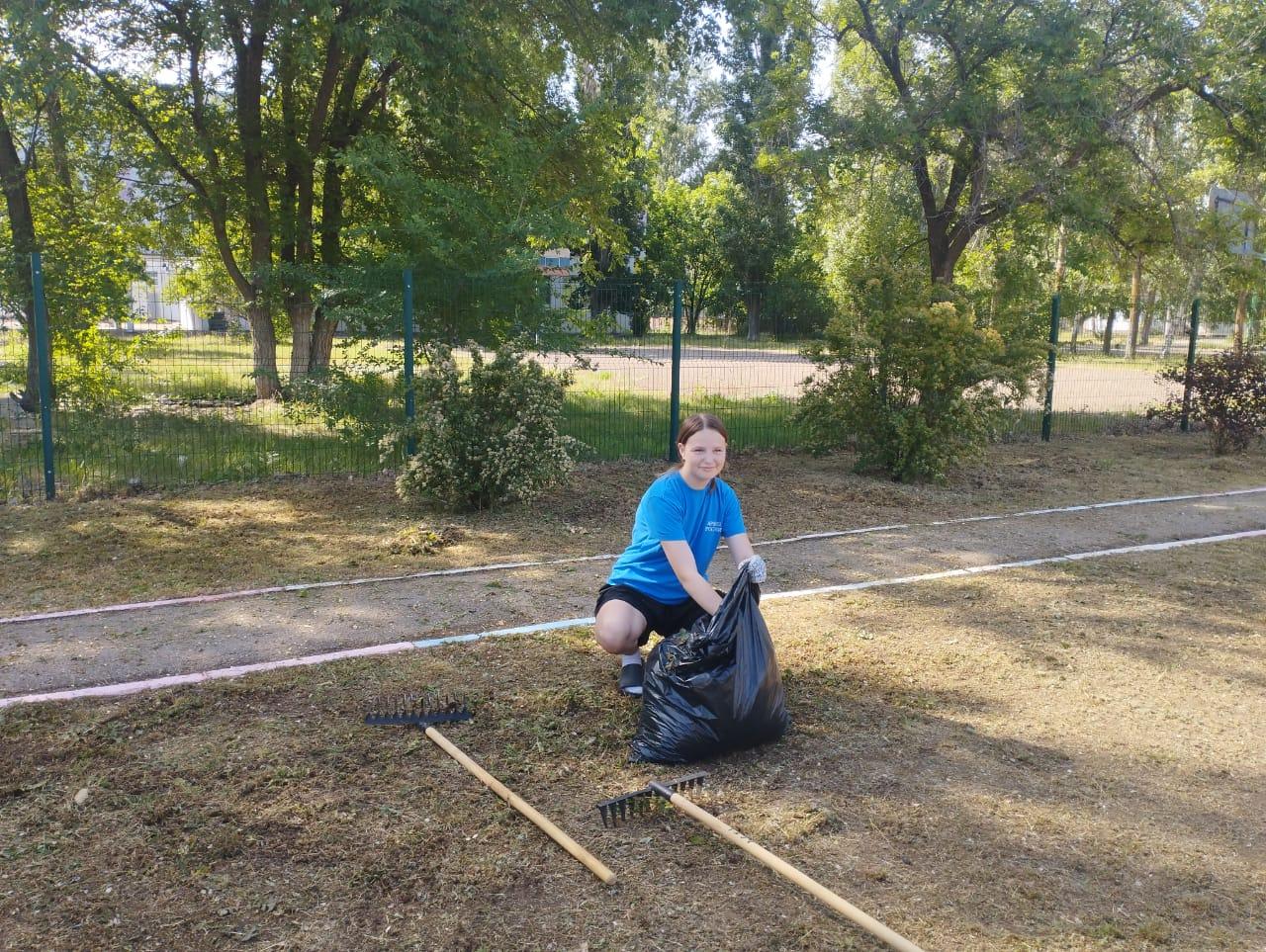 Сотрудничество со школой..